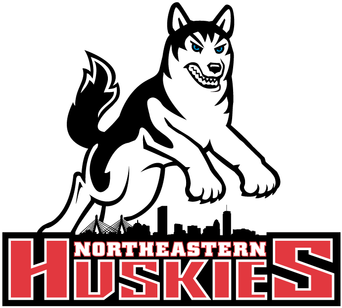 Northeastern Huskies 2001-2006 Primary Logo diy DTF decal sticker